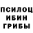 Псилоцибиновые грибы прущие грибы Sergei Loboda