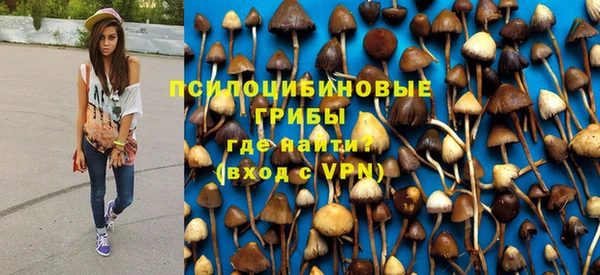 гидропоника Аркадак