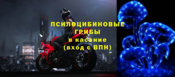 гидропоника Аркадак