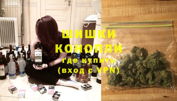 кокс Арсеньев