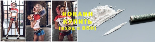 кокс Арсеньев
