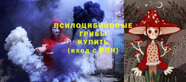 ПСИЛОЦИБИНОВЫЕ ГРИБЫ Армянск