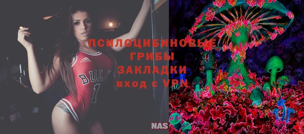 гидропоника Аркадак